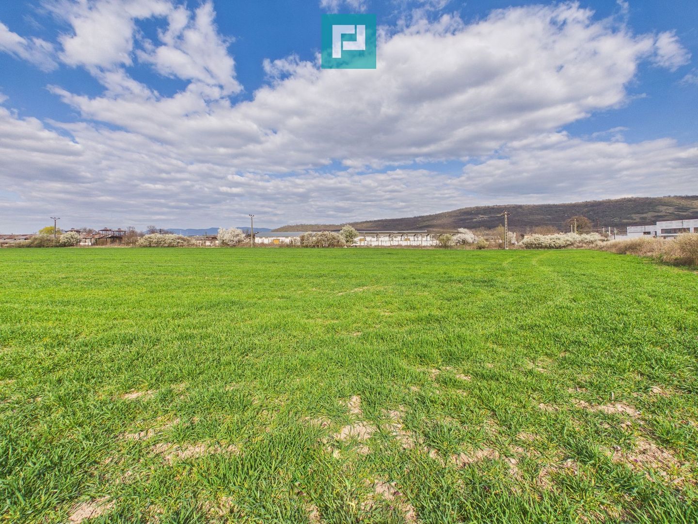 Teren extravilan, 1 ha, în orașul Sebiș, Arad - Poză 1