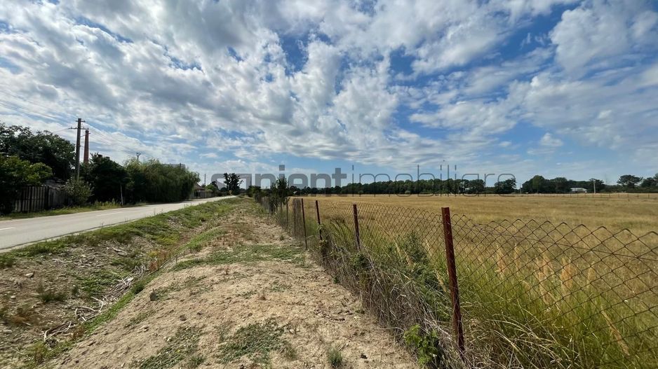 Teren Intravilan 1 ha – Acces Drum Asfalt | Ideal Rezidențial - Poză 3