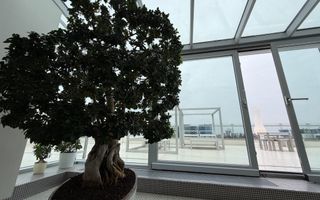 Exclusive Penthouse *514sqm* / terrace 255sqm - Lake View // Floreasca - Poză 5