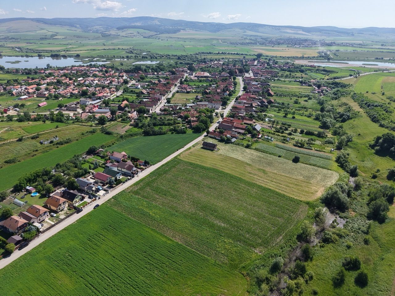 Teren intravilan 10.000 mp, Rotbav (Feldioara) - Poză 10