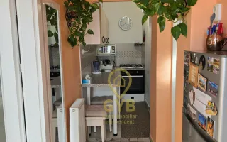 De vânzare apartament în clădire istorică * Ultracentral * Piața Gojdu - Poză 12