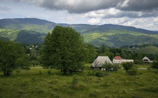 Teren Rogojel 15.000MP 8 EURO/MP - Poză 3