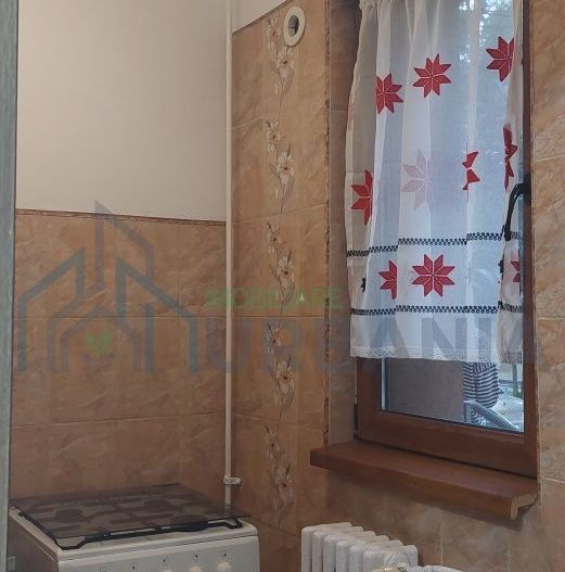 Persoana fizica vând garsoniera în Podu ros - Poză 4