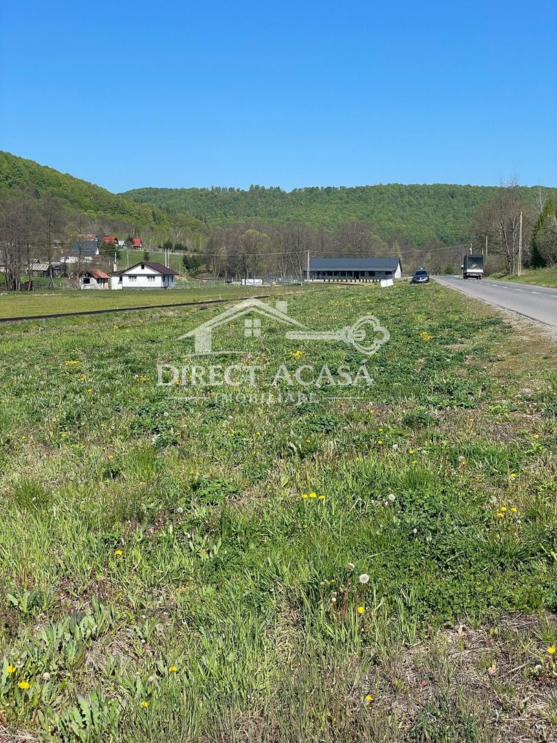 Teren intravilan 8900 mp-Sacadat-Sovata - Poză 1