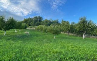 EXCLUSIVITATE! TEREN INTRAVILAN 29.2 ARI + 5.8 ARI TEREN EXTRAVILAN, DE VANZARE - Poză 11