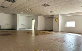 Hala industriala de inchiriat – Arad, Strada Padurii - Poză 6