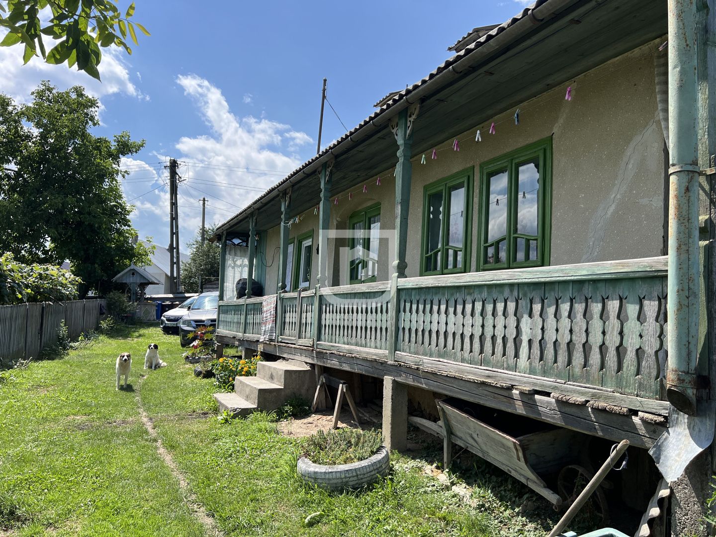 Ferma agricola, plantatii de mure, trandafiri, vita-de-vie - Poză 6