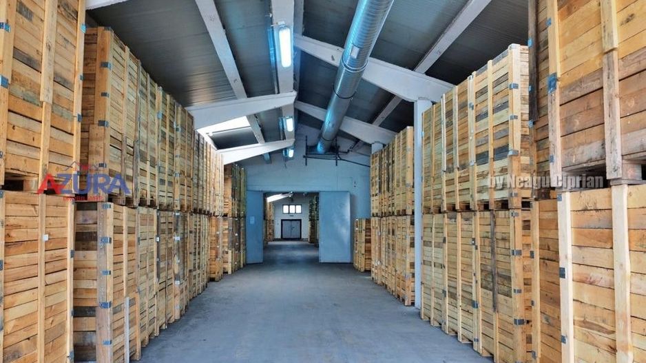 COMISION 0% - HALE Calinesti Arges - Poză 24