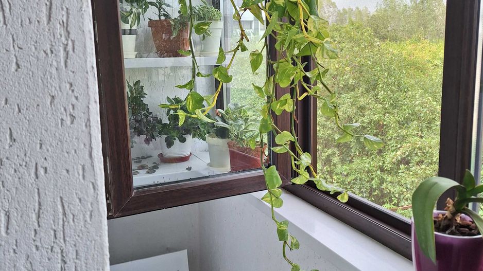 Casa de vanzare Aparatorii Patriei - Poză 1