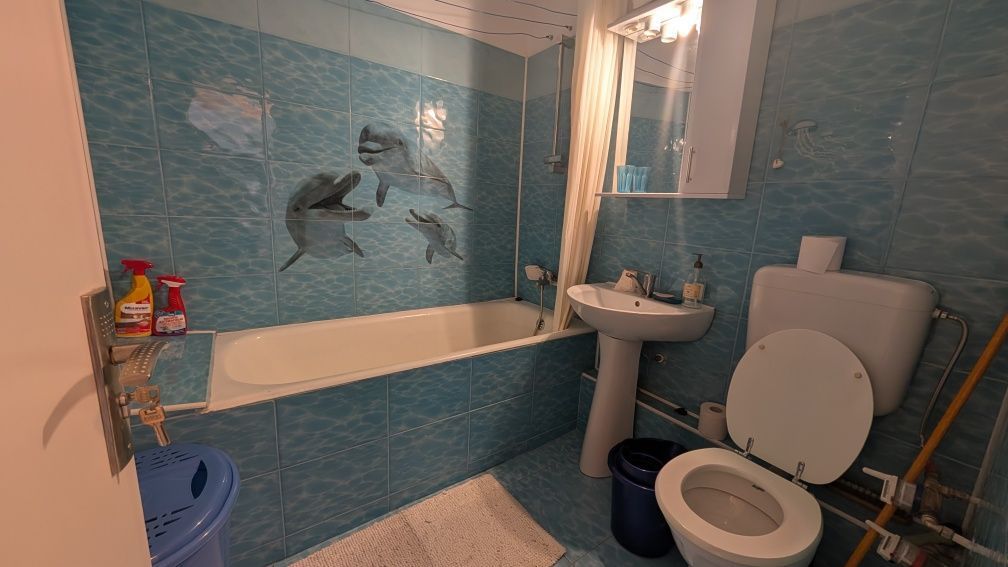 Apartament 2 camere de vanzare Pacii - Poză 7