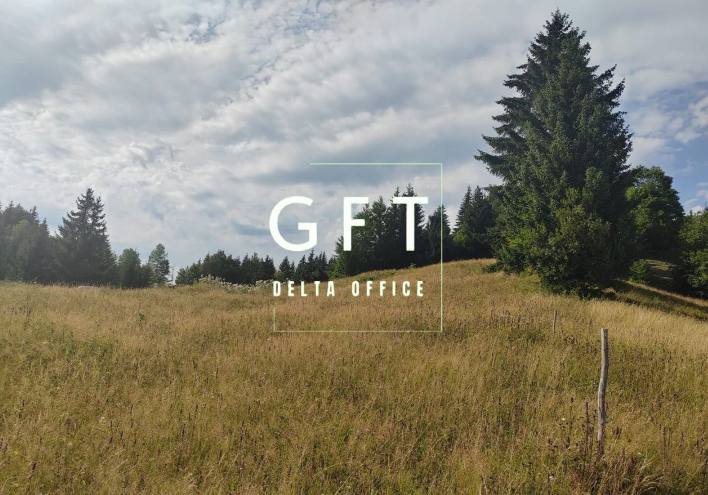 Teren intravilan de 200 ari la 1 km de lacul Colibița - Poză 5