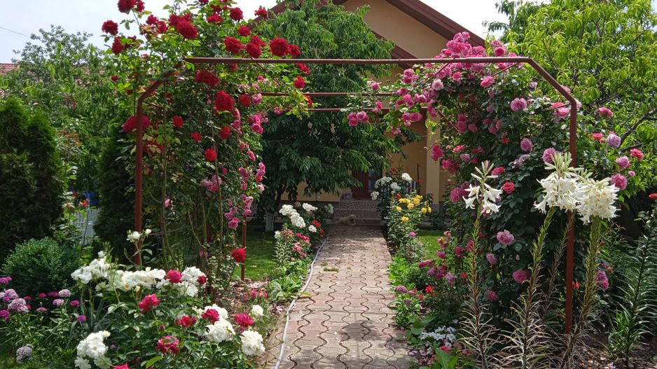 CASĂ individuală  P+M, teren 600 mp, zona M.Grecilor; - Poză 1