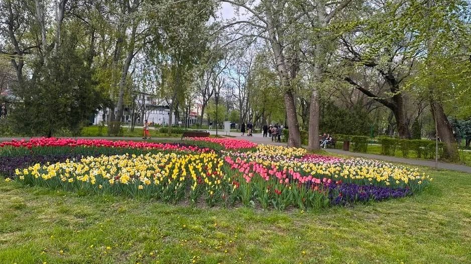 De inchiriat apartament cu 2 camere, etaj 2, Gradina Publica, 400 euro - Poză 1