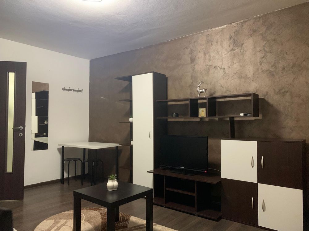 Buziasului | 1 Camera | Renovat - Poză 4