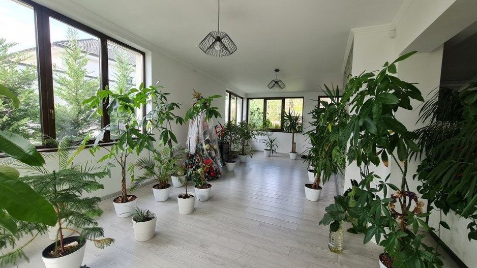 Balotesti vila de lux 8 camere, 450mp utili, la 20 min de Bucuresti - Poză 8