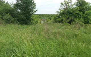 Teren Buftea cu iesire la lac - Poză 27