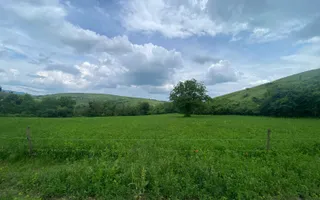 Domeniu 15.900 mp în Fințești | Casă + Investiție Dealu Mare - Poză 12