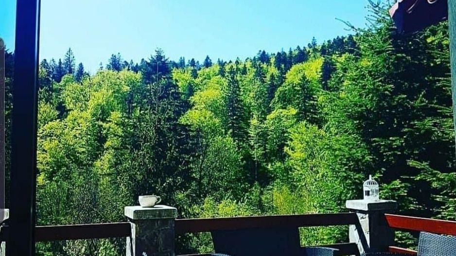 Pensiune superba Sinaia - Poză 8