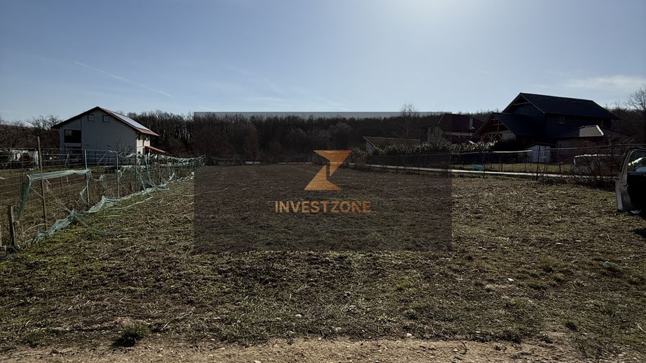 Teren intravilan 700 mp cu utilități în Paleu - Poză 2