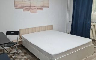 Garsonieră decomandată 42 mp, pet friendly, balcon mare, Diham-Basarabiei - Poză 1