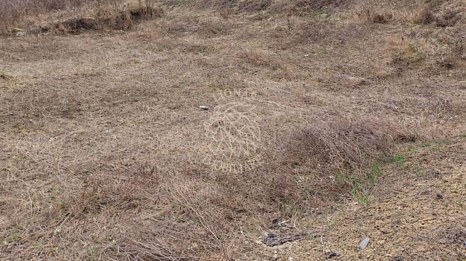 Teren intravilan 550 mp cu utilitati-ideal casa-Zona Valea Rusului - Poză 2