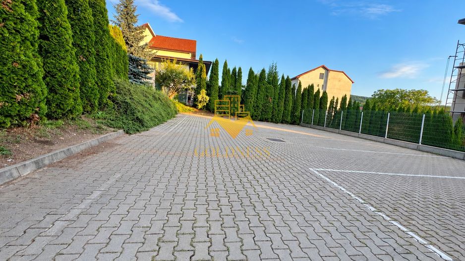 Birouri/Activitati medicale, 950mp, Parcari, Manastur, Frunzisului - Poză 19