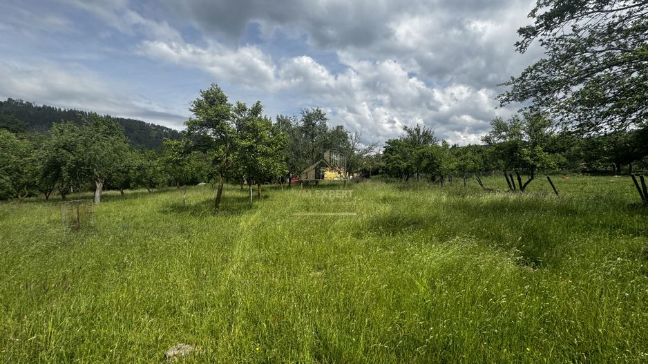 TEREN INTRAVILAN 4600 MP, VOINESTI, LERESTI, ARGEȘ - Poză 4