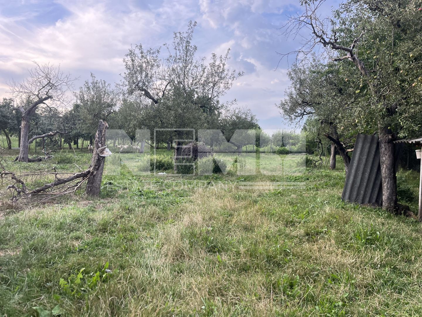 Casă la Țară cu Livadă 20 Ari | Rotopanesti/Suceava | 60.000Euro - Poză 22