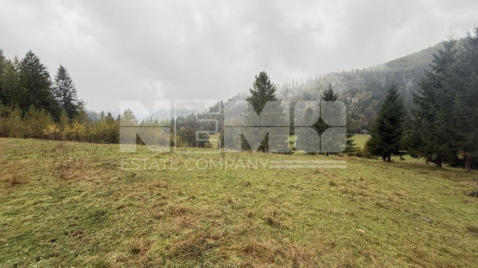 Teren Extravilan | 6.100 mp | Brodina | 41.500 € negociabil - Poză 2