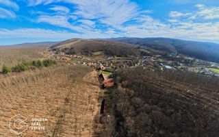 Proprietate pretabila pentru afacere, Cladova - Poză 36