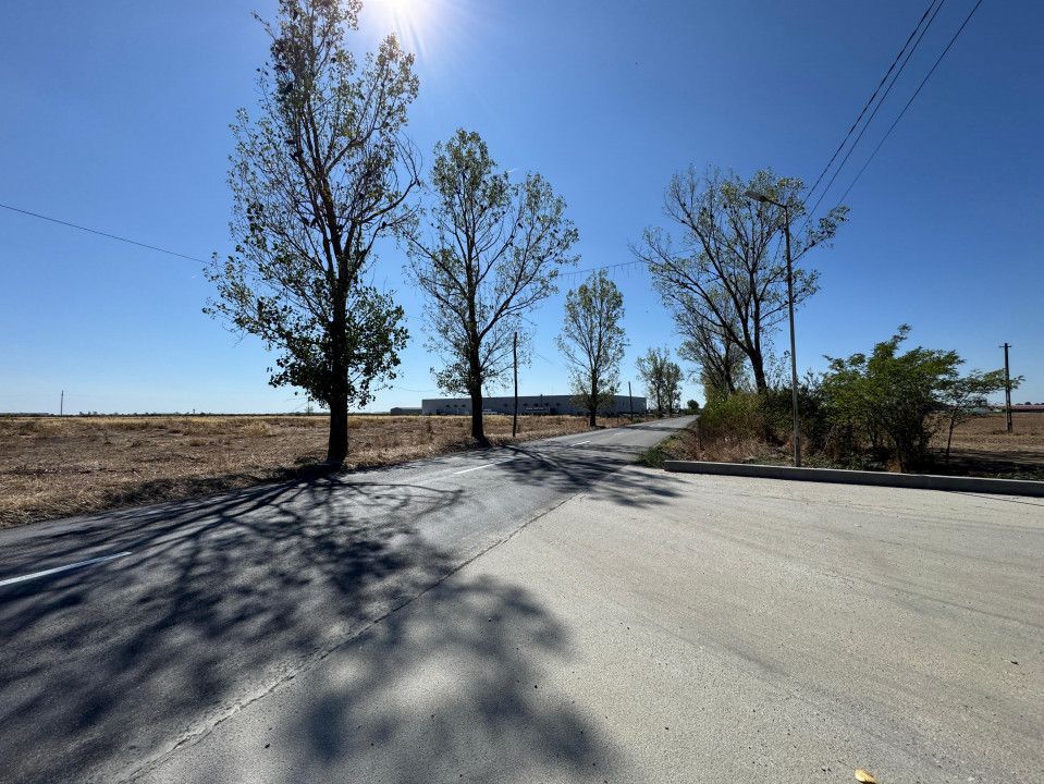 Teren extravilan de vânzare – Căteasca, Argeș | 27.201 mp | Deschidere 58,55 m - Poză 7