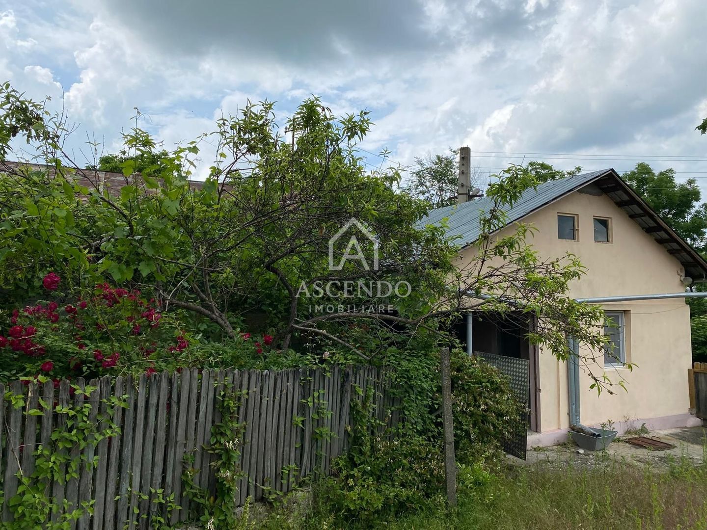 Domeniu 15.900 mp în Fințești | Casă + Investiție Dealu Mare - Poză 6