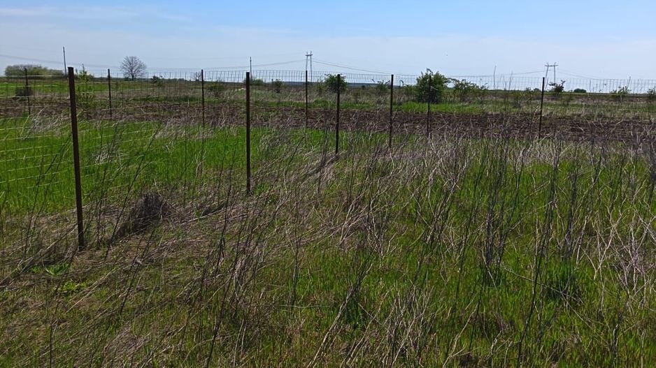 Teren de vânzare – Mihăilești | Oportunitate de investiție - Poză 8