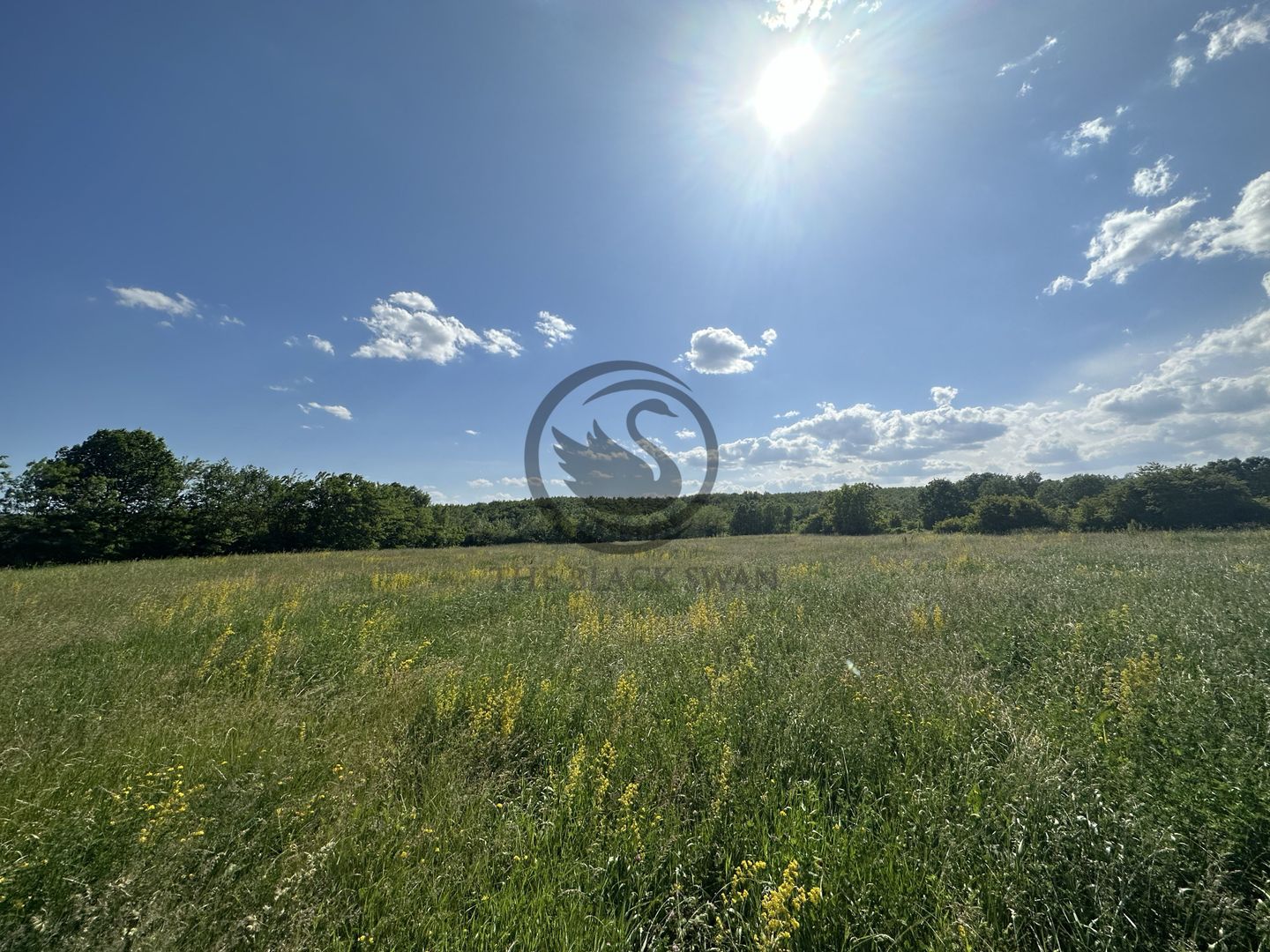 Teren intravilan de vanzare | 11.000 mp | Ghirdoveni | Comision 0% - Poză 7