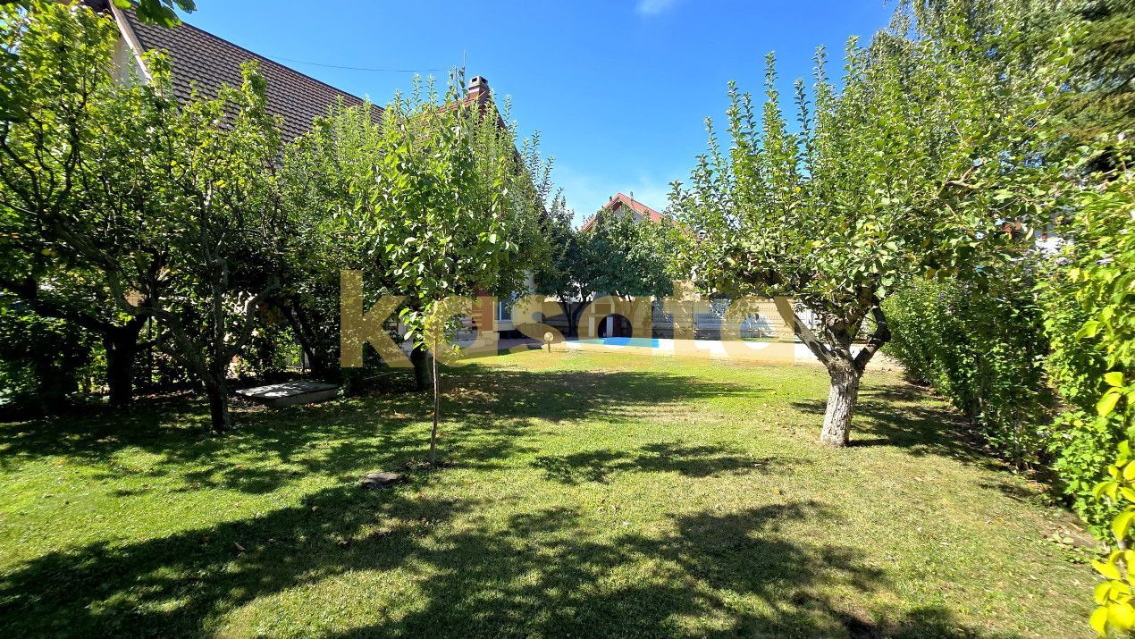 Vila individuala | 7 CAMERE | curte si garaj | PISCINA | IANCU NICOLAE - Poză 20