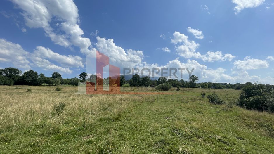 Teren de vanzare in  Tohanu Nou-Sohodol 6200 mp - Poză 9