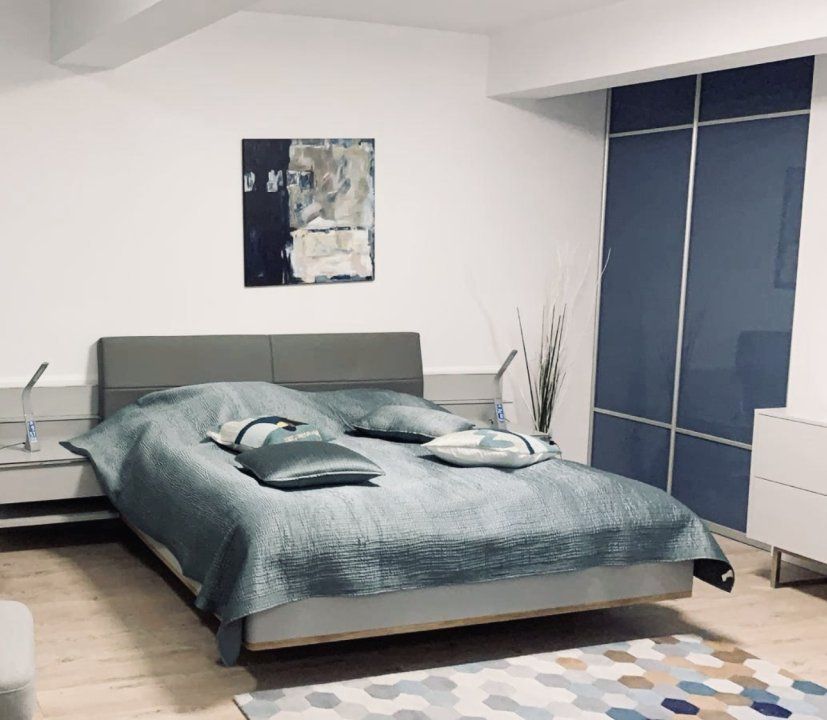 Vila / Spatiu Comercial Stradal 20m deschidere - Poză 2