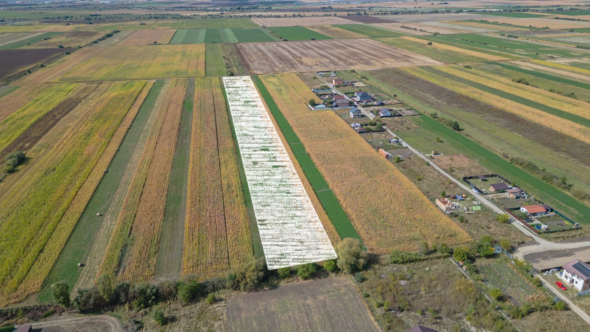 Teren Intravilan Bod | 15.000 mp | Zona Uranus - Constelației - Poză 2