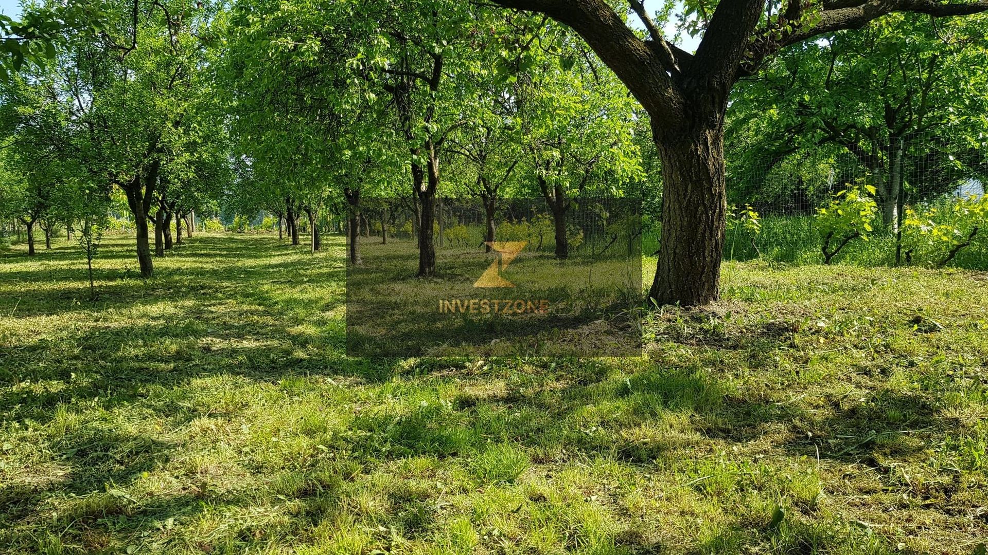 Teren cu utilități 2052 mp - Oradea - str. Făgetului - Poză 16