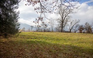 Teren intravilan, cu PUZ, Bran Tohanita,  SE ACCEPTĂ ȘI SCHIMB - Poză 4