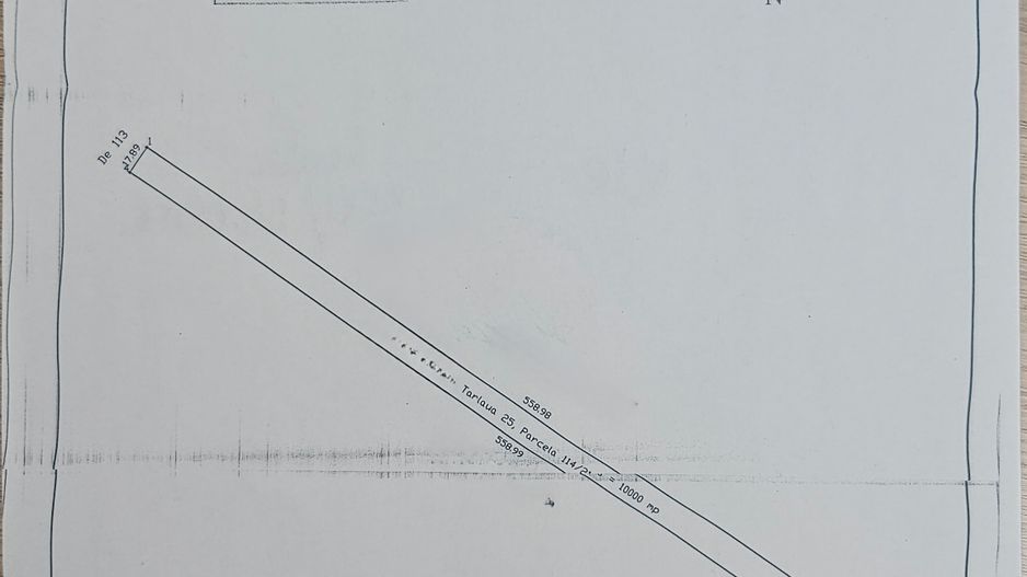 Teren 10,000mp Afumati | Padure | Soseaua Petrachioaia - Poză 4