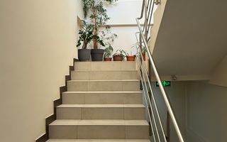 Saptiu de birou Iancului - Poză 2