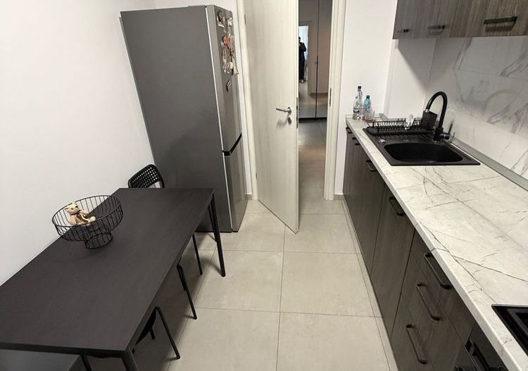 Apartament 2 camere de inchiriat - Poză 4