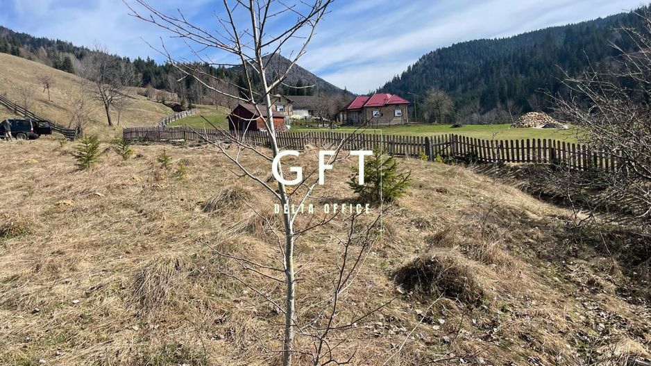 Teren intravilan parcelabil- 17703 mp,Colibita - Poză 4