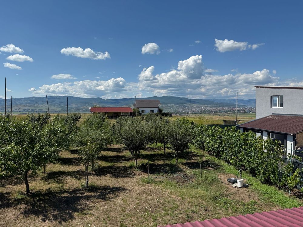 Cabana de lemn, 2 camere, teren 850 mp, livada, Oarda, Alba Iulia - Poză 5