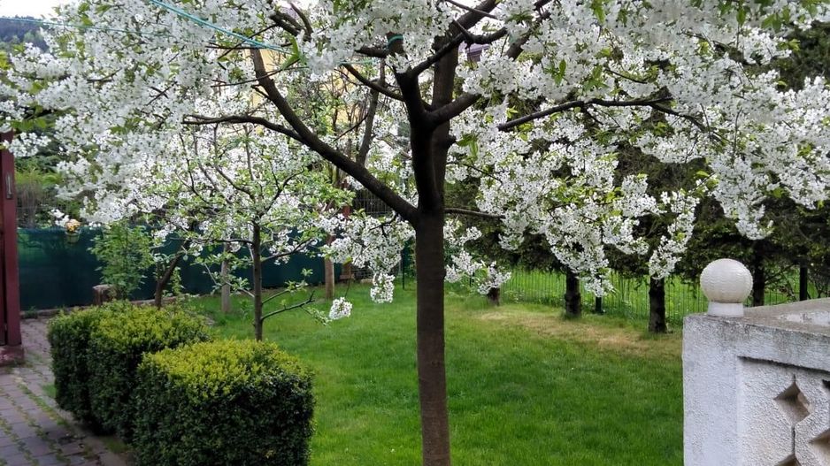 Vanzare case in imprejurimi - Poză 4