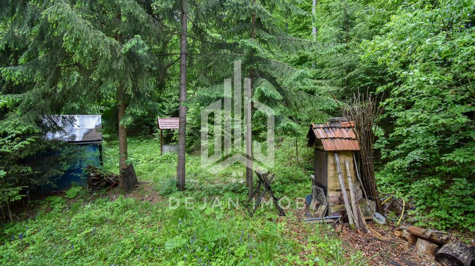 Casă / Vilă de vânzare în Nord, Sfantu Gheorghe - Poză 7