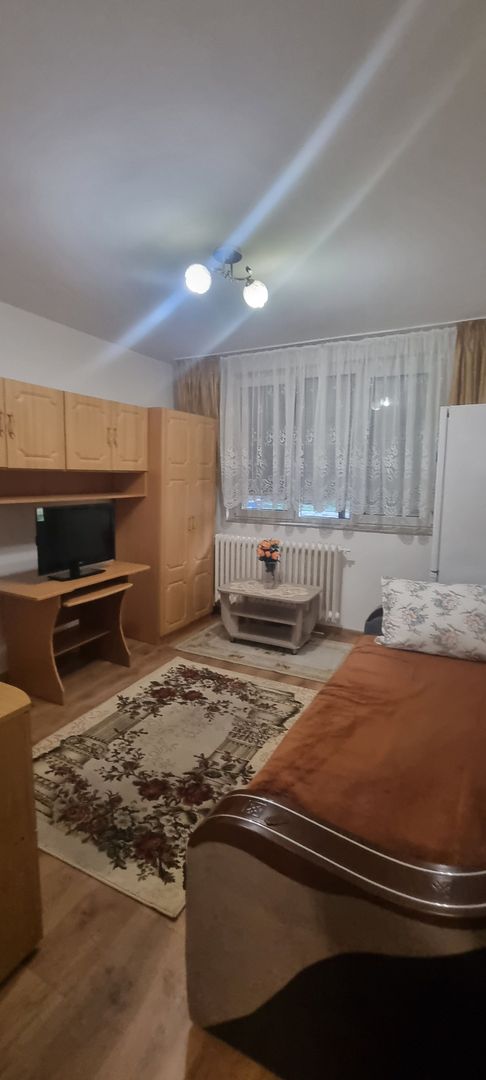 Chirie, garsonieră, mobilată, utilată, parter Blv Dacia. 250 Euro/lună - Poză 5