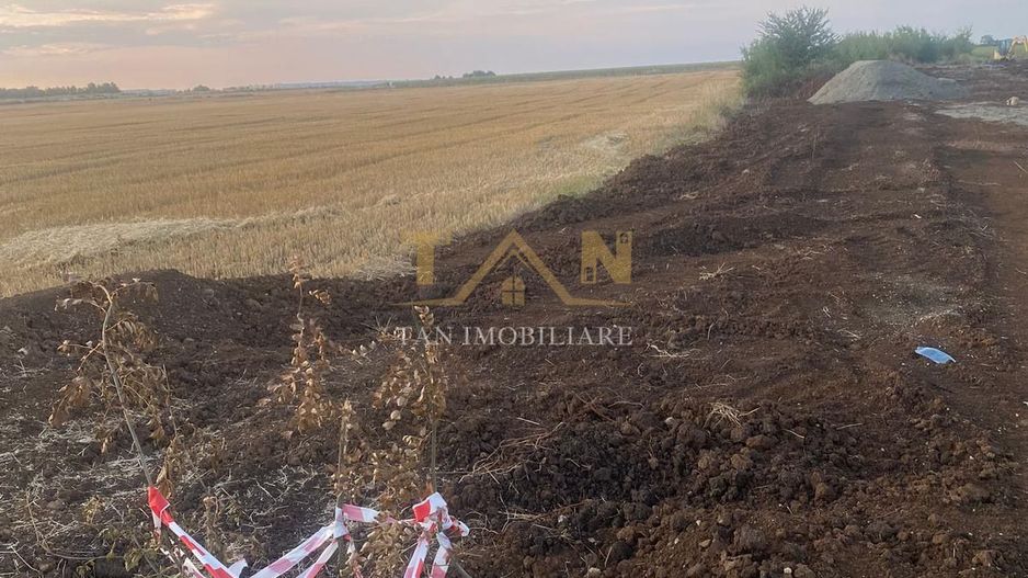 Teren Intravilan Dumbrăvița ,pretabil Duplex - Poză 7