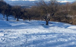 TEREN INTRAVILAN 8522 MP, CAMPULUNG - Poză 5